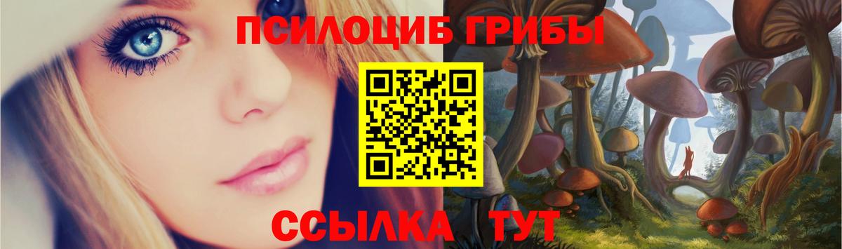 Ржев  Псилоцибиновые грибы Psilocybe  Вход с VPN  Псилоцибиновые грибы GOLDEN TEACHER 